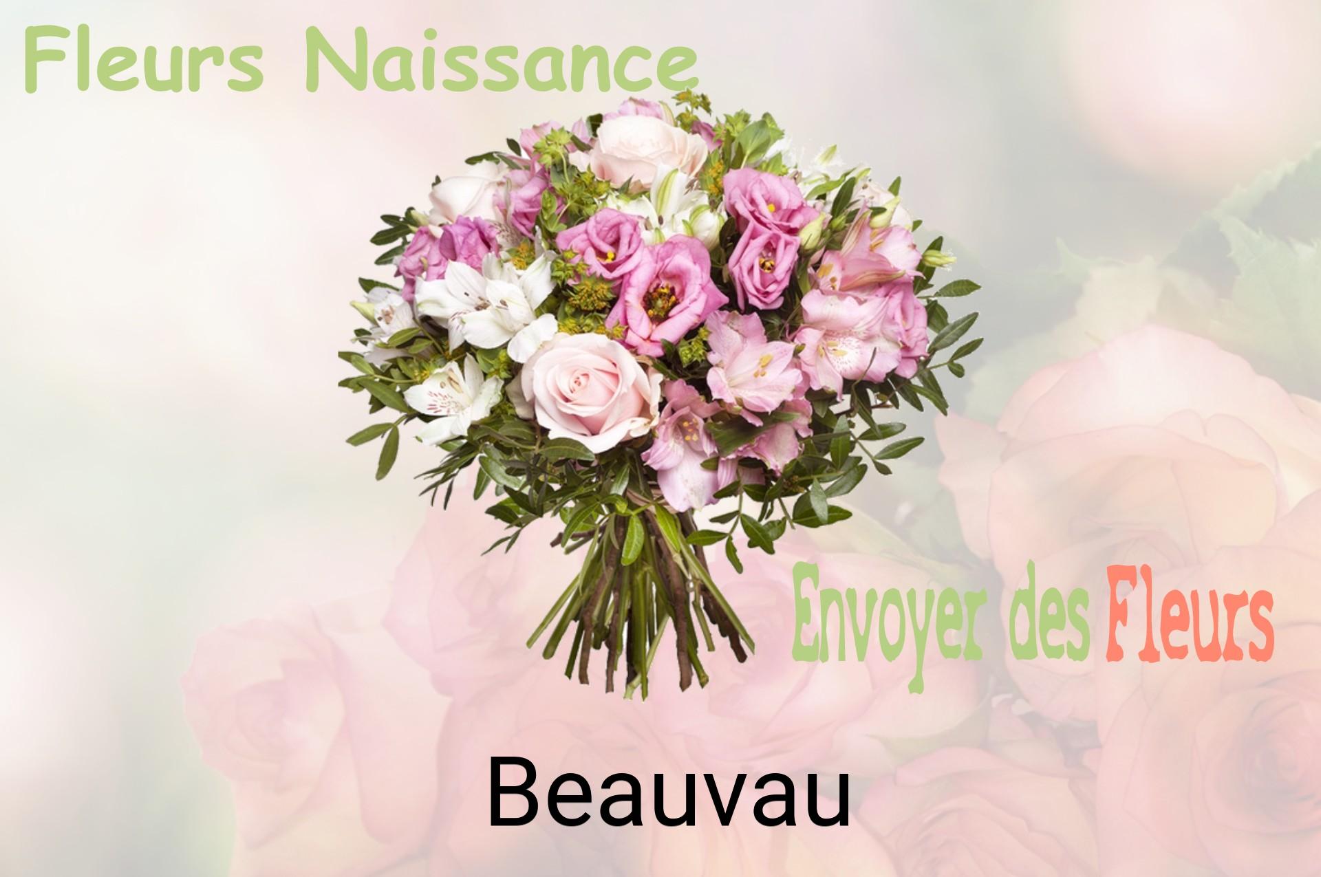 Bouquet de fleurs de naissance livré à Beauvau